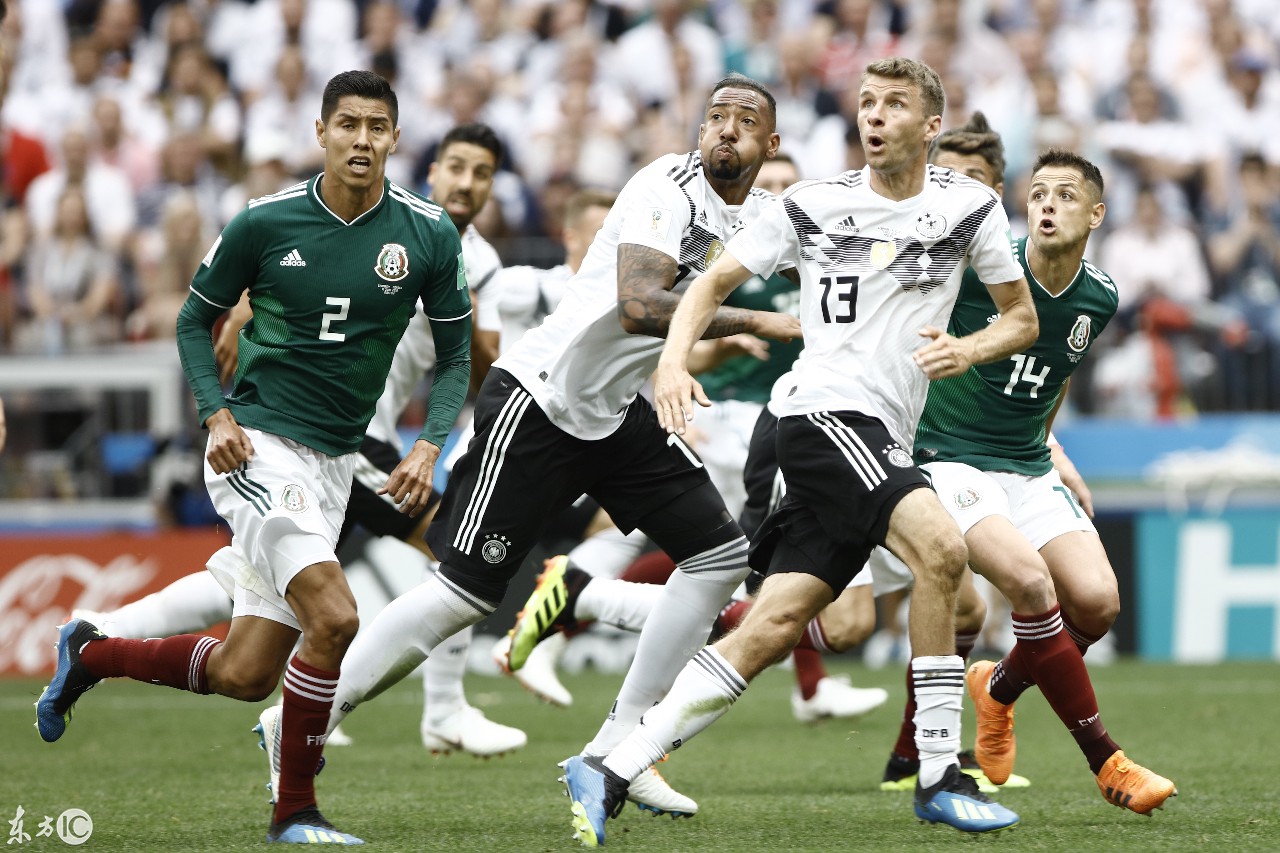 葡萄牙体育训练开放日，国际比赛日扳平良机引欢呼，欧篮联在即，临场指挥获称赞的简单介绍